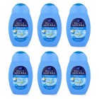 PAGLIERI Felce Azzurra white musk - muschio bianco duschgel 6x 250 ml