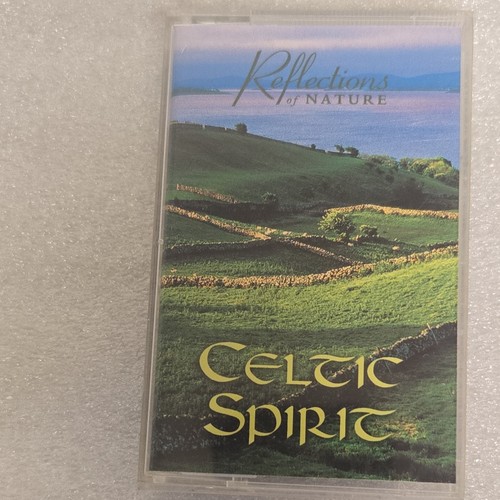 Lot of 19 Vintage CELTIC Cassette Tapes. SEE PICTURE OF EACH TAPE. - Picture 15 of 21