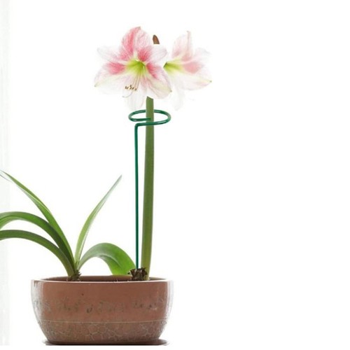 Zuverl?ssige Gartenst??tzpf?hle 20 Eisenstangen f??r Kletterpflanzen und Gem?? - Bild 8 von 12