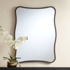 Uttermost Pavia Dark Bronze 24" x 32" Curvy Wall Mirror