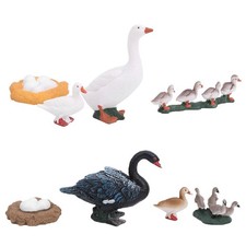 4 Stage Growth Cycle Model Animal Duck Life Cycle Models Children Educational T