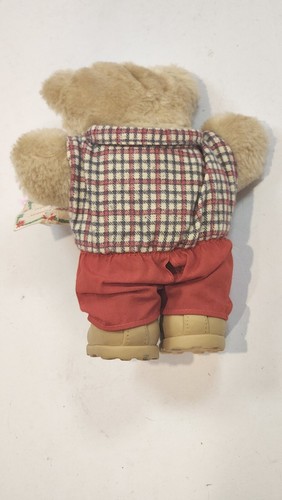 FURSKINS - Boone Furskin Bear - "Edizione Limitata" di Wendy 1986 - Foto 2 di 2