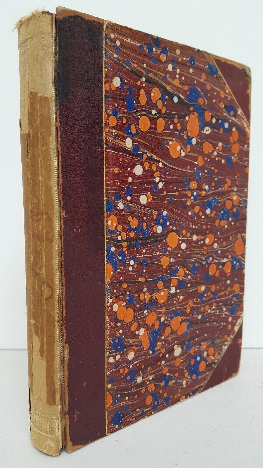 Foto 1 di 11