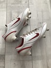 Foto 12 di 14