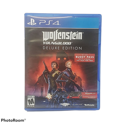 Wolfenstein: The New Order & Youngblood Deluxe Edition - Picture 5 of 11
