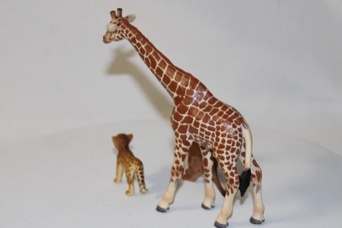 Schleich Germany Female Giraffe 03, Lion Cub 07, Leppard /Cheta Cub 03 - Picture 19 of 23