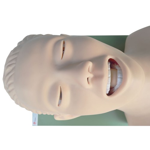 110V Teach Model Airway Management Trainer Intubation Simulators Manikins - Picture 6 of 11