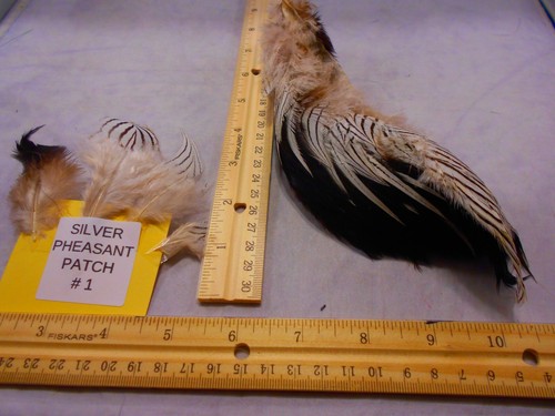 Silver Pheasant feathers patches Natural Zucker Feather (TM) black & white - Picture 4 of 30