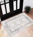 Area Rug 2X3 Washable Rug Door Mat Vintage Distressed Rug Doormat Indoor Entranc