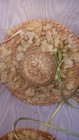 Bild 7 von 10