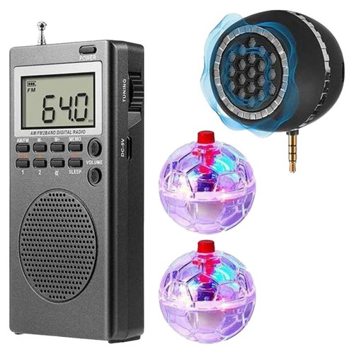 AM FM Mini Radio Lightweight Design Great for Home and Outdoor Activities