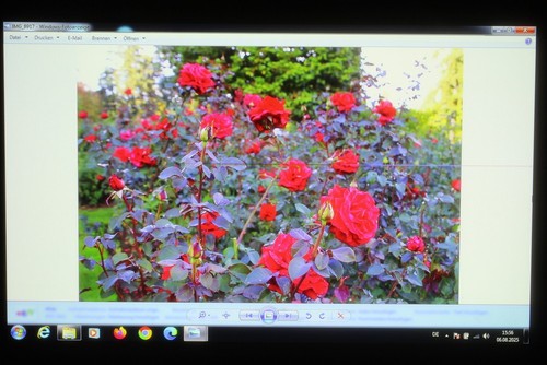 *EPSON EB-L1405U+ELPLM08*Laser Beamer Projektor projector 4k UHD 8000 ANSI WUXGA - Picture 2 of 20