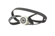 RIDEX 542R0439 Keilrippenriemensatz für RENAULT CLIO II (BB0/1/2, CB0/1/2)