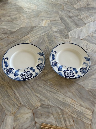 Lauren Ralph Lauren RLL Somerset Island "FLORAL" Dinner Plates Set Of 2 - Picture 1 of 4