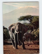 Postcard Elephant Mt. Kilimanjaro Tanzania