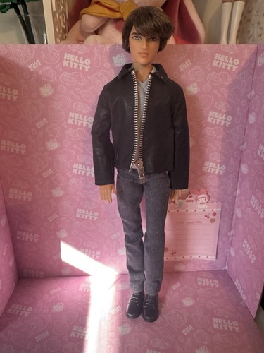 Ryan - OOAK - Barbie Life in the Dreamhouse Doll - Bild 5 von 5