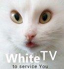 white-tv
