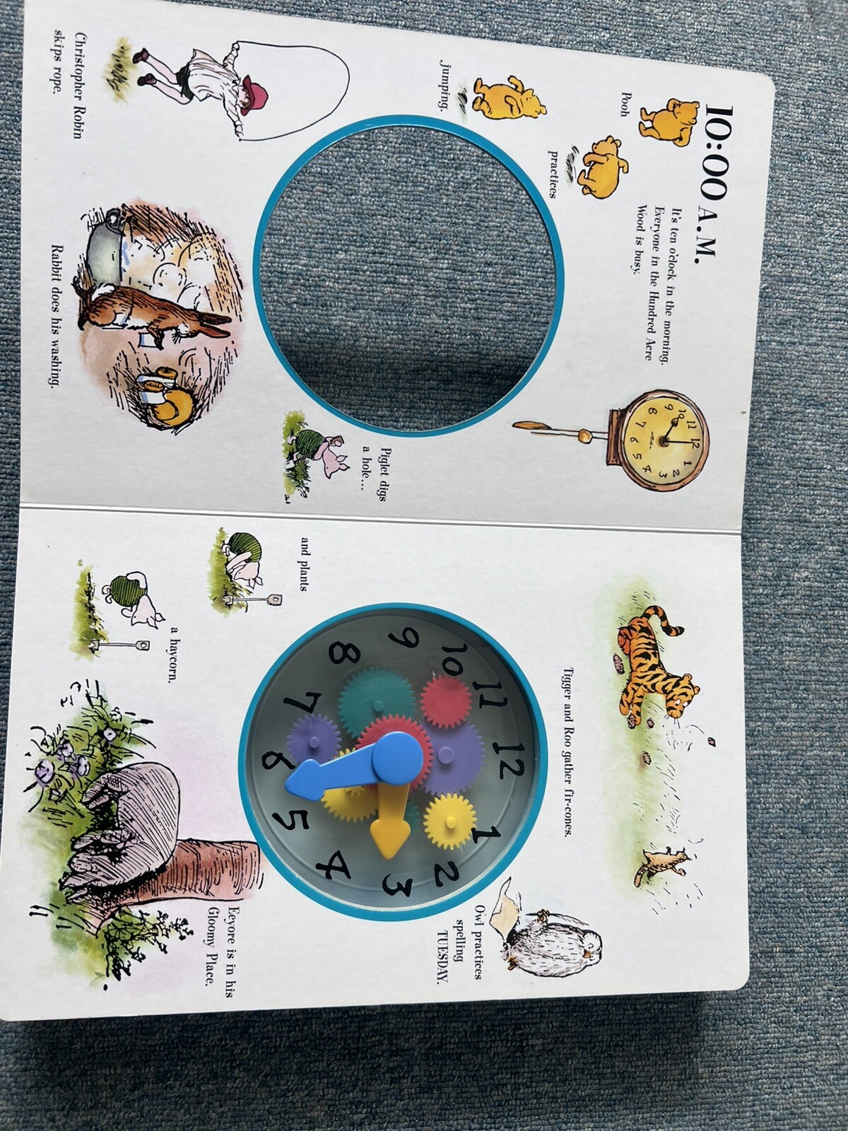 Picture 4 of 11