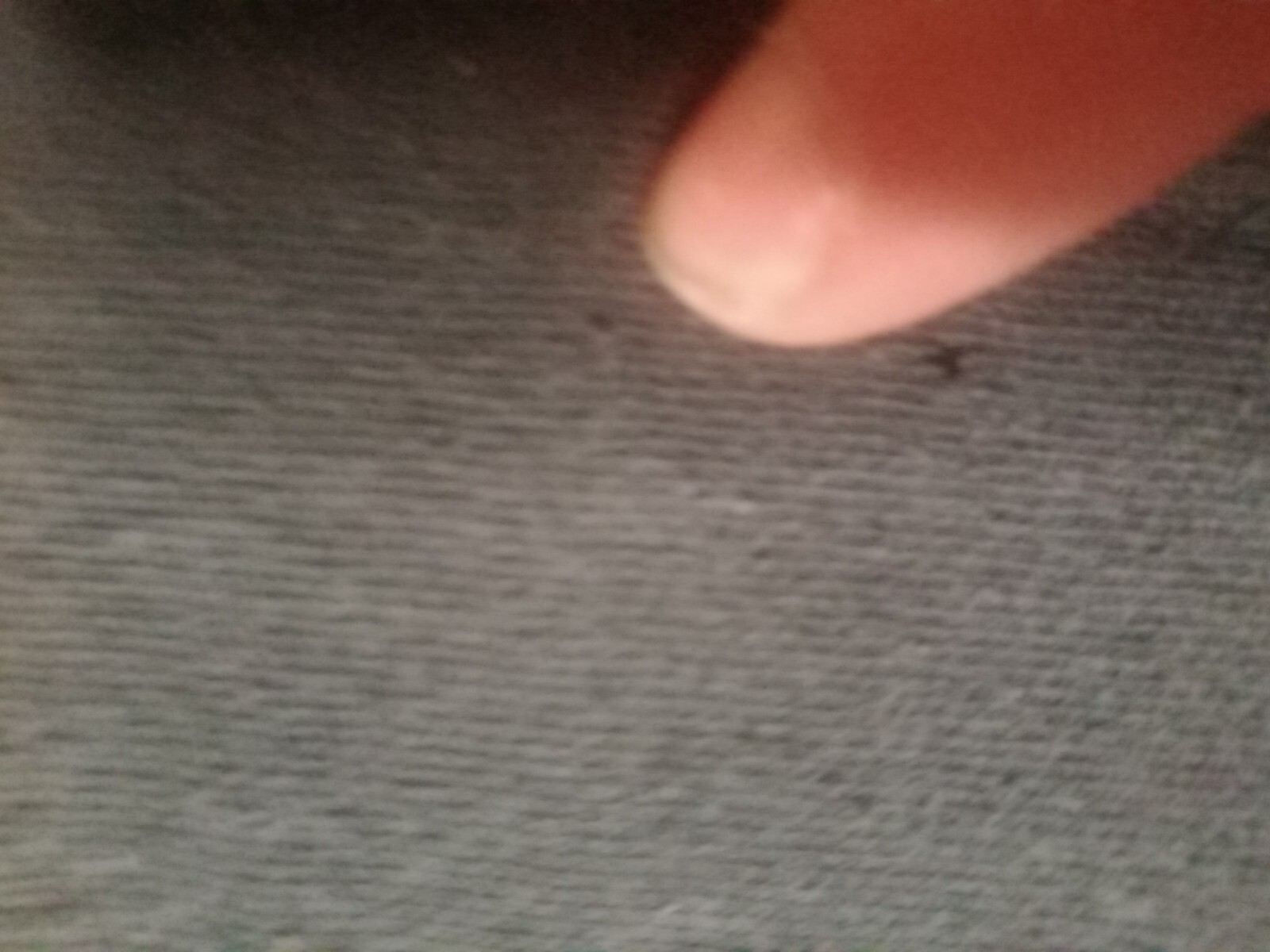 Picture 11 of 12