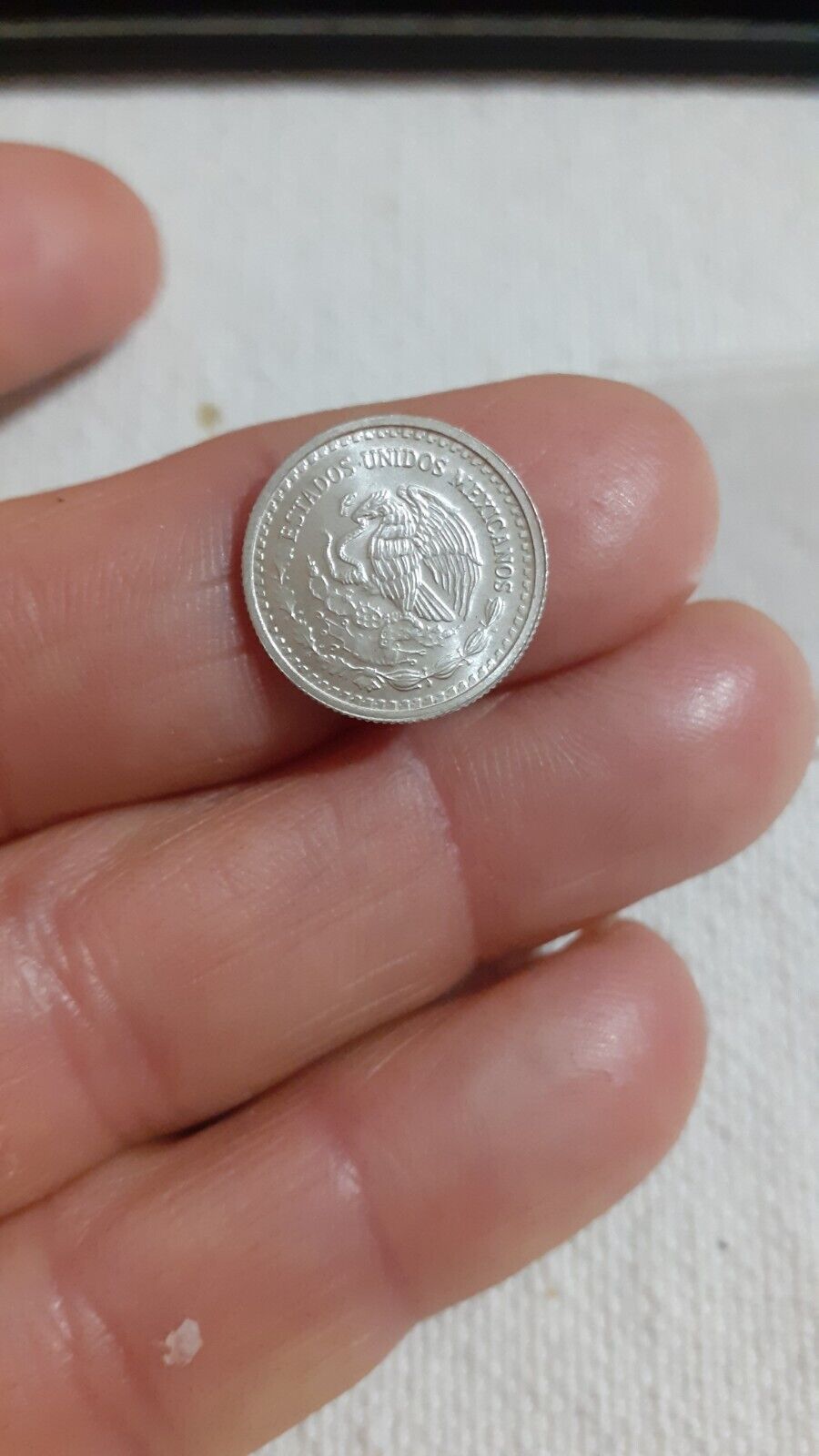 Foto 3 di 4