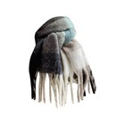 Bild 29 von 63