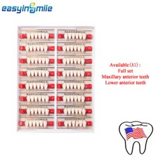 Acrylic Resin Denture Shade A1 Full Set Upper Lower Teeth Dental Use Easyinsmile
