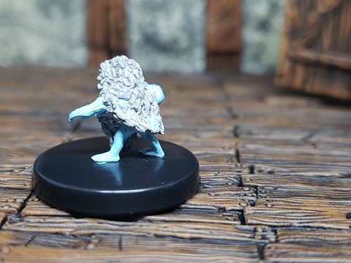 D&D Icons of the Realms: Icewind Dale: Rime of the Frostmaiden by Wizkids - Picture 9 of 124