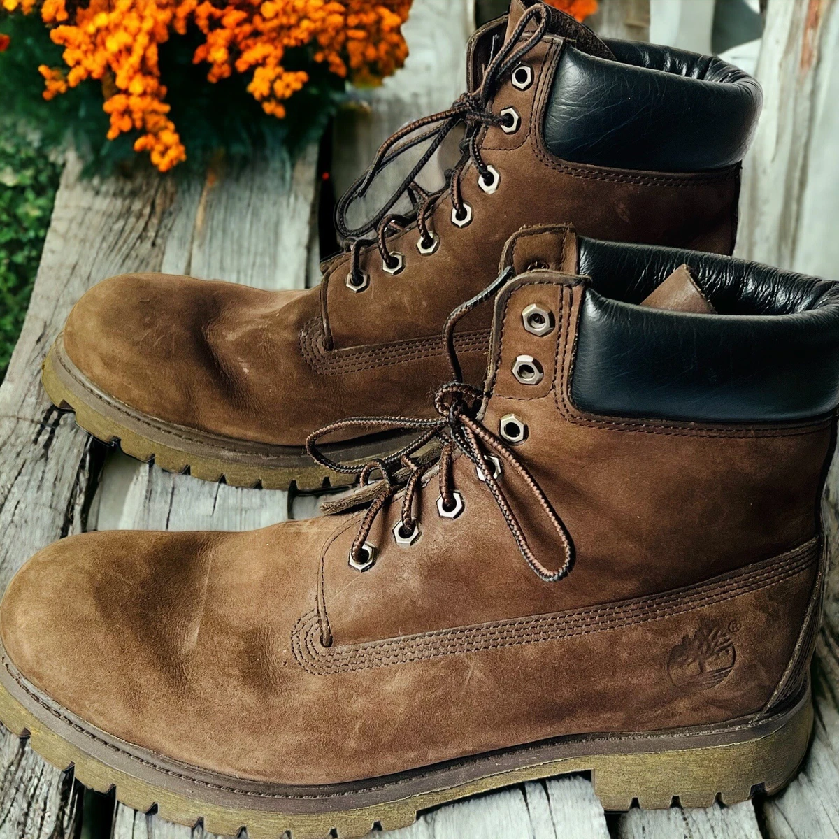 Timberland 10001 hot sale