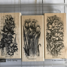 Stampin up Early Spring wood mounted rubber stamps set of 3 Large Tulips flowers