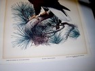 Bild 8 von 12