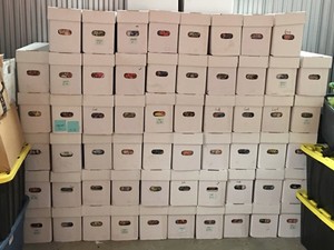 HUGE-LOT-OF-25-DEFIANT-ONLY-COMICS-No-Duplicates-FREE-SHIPPING