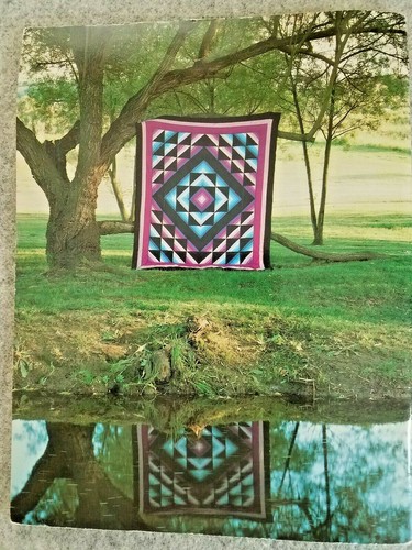 QIAD AN AMISH QUILT Roman Stripe Variations 48pg soft book Eleanor Burns 1986 - Picture 5 of 7