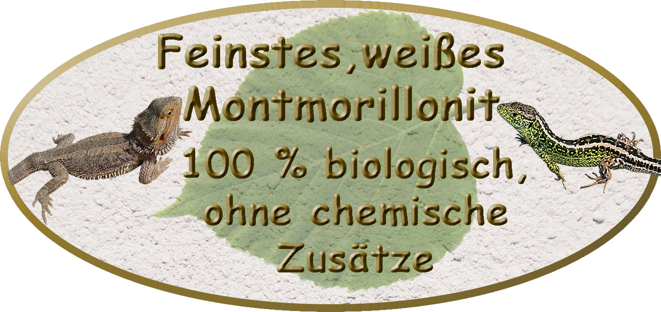 Bild 2 von 4