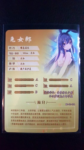 Goddess Story - R - OUT OF PRINT - NS-02 - CCG anime waifu foil holo cards  - Picture 45 of 145