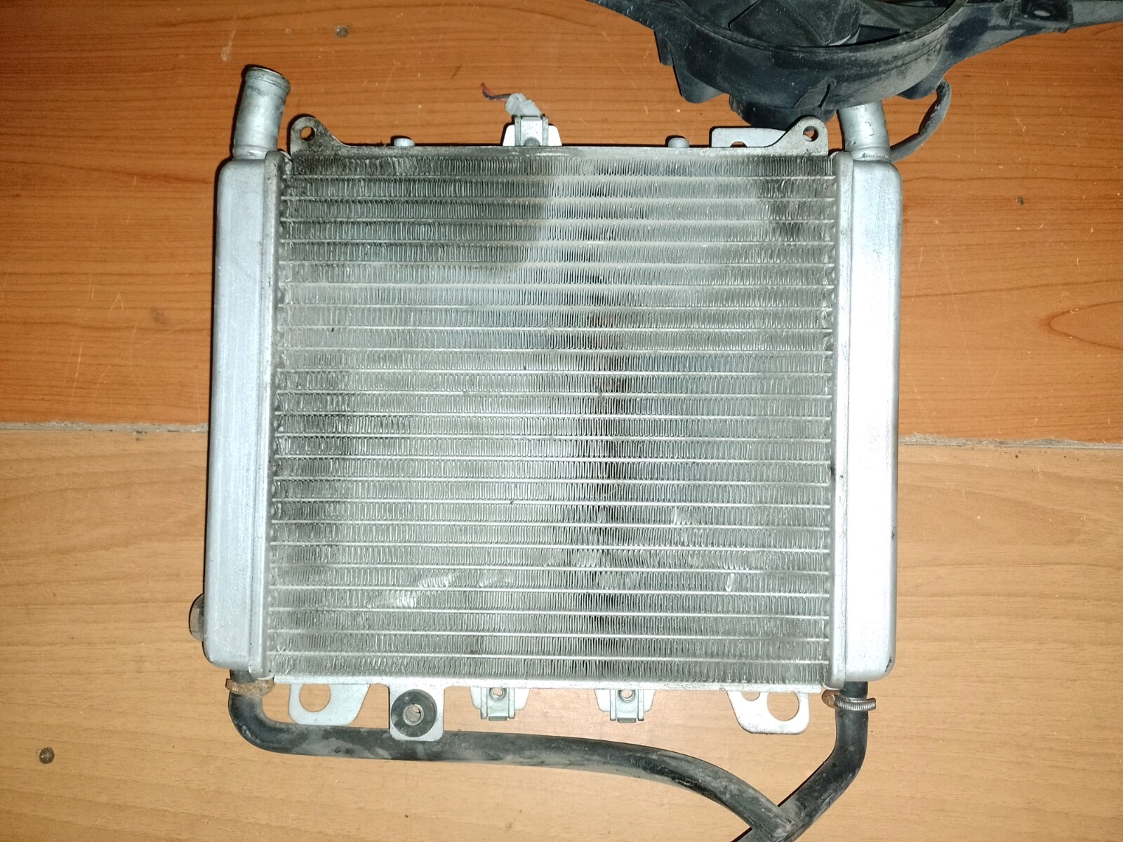 Foto 12 di 24