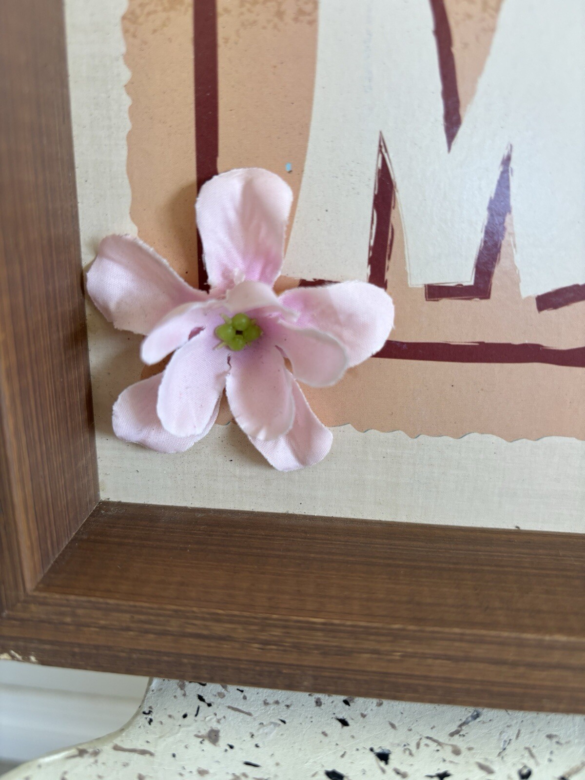 Picture 6 of 17