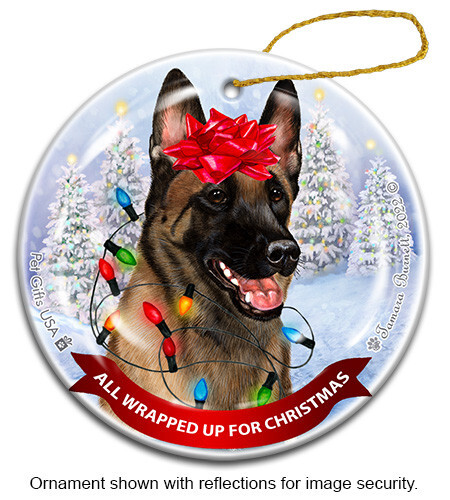 Ornamento tutto avvolto - Fawn Belgian Malinois - Foto 1 di 1
