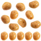 20 Pcs Pretend Food Potatoes Vegetable Ornaments Kitchen Mini Plants