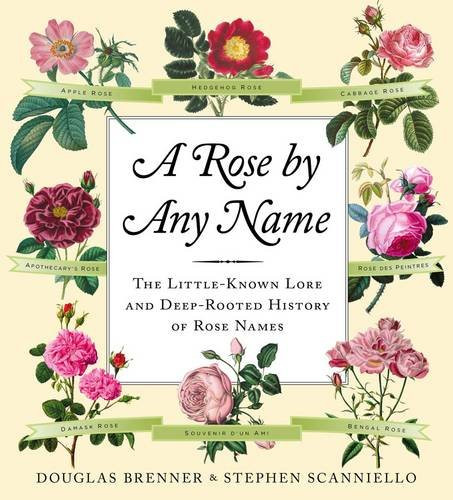 A Rose by Any Name by Stephen Scanniello Hardback Book The Cheap Fast Free Post