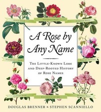 A Rose by Any Name by Stephen Scanniello Hardback Book The Cheap Fast Free Post