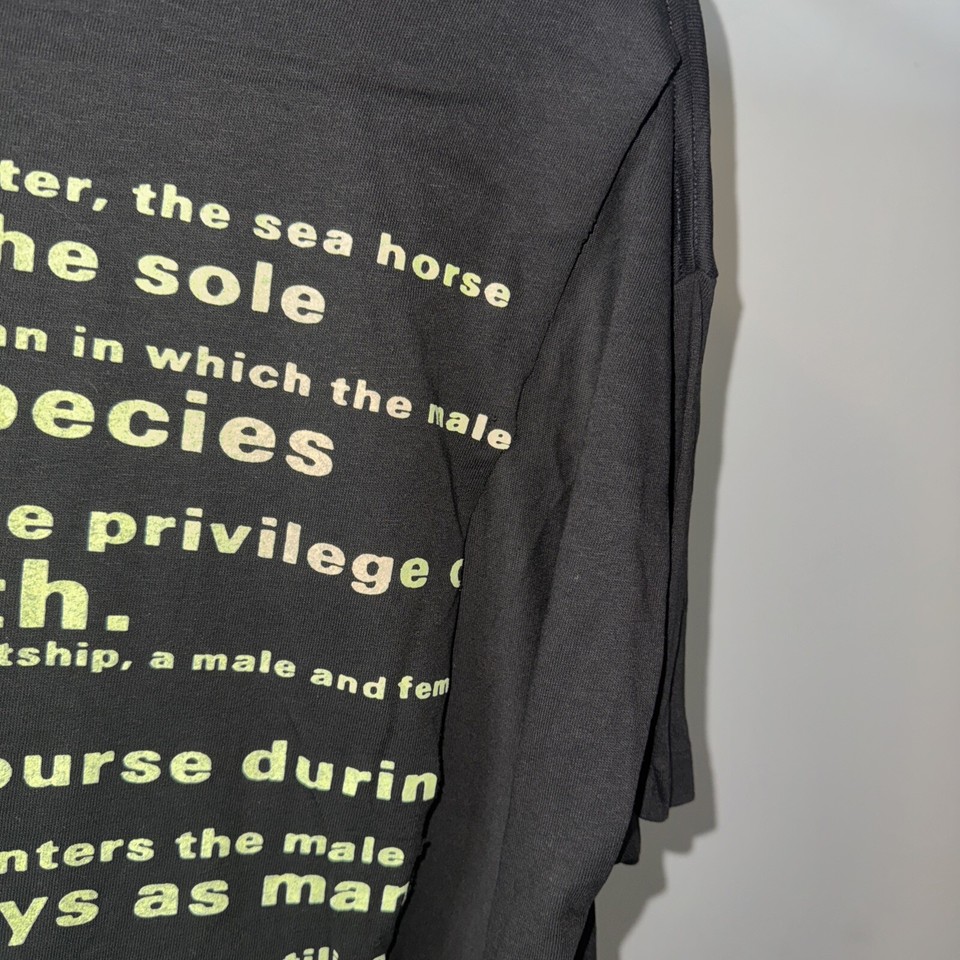 Vintage 1993 Nirvana Seahorse T Shirt XL Grunge Kurt Cobain Wild Oats