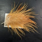 Bild 3 von 4