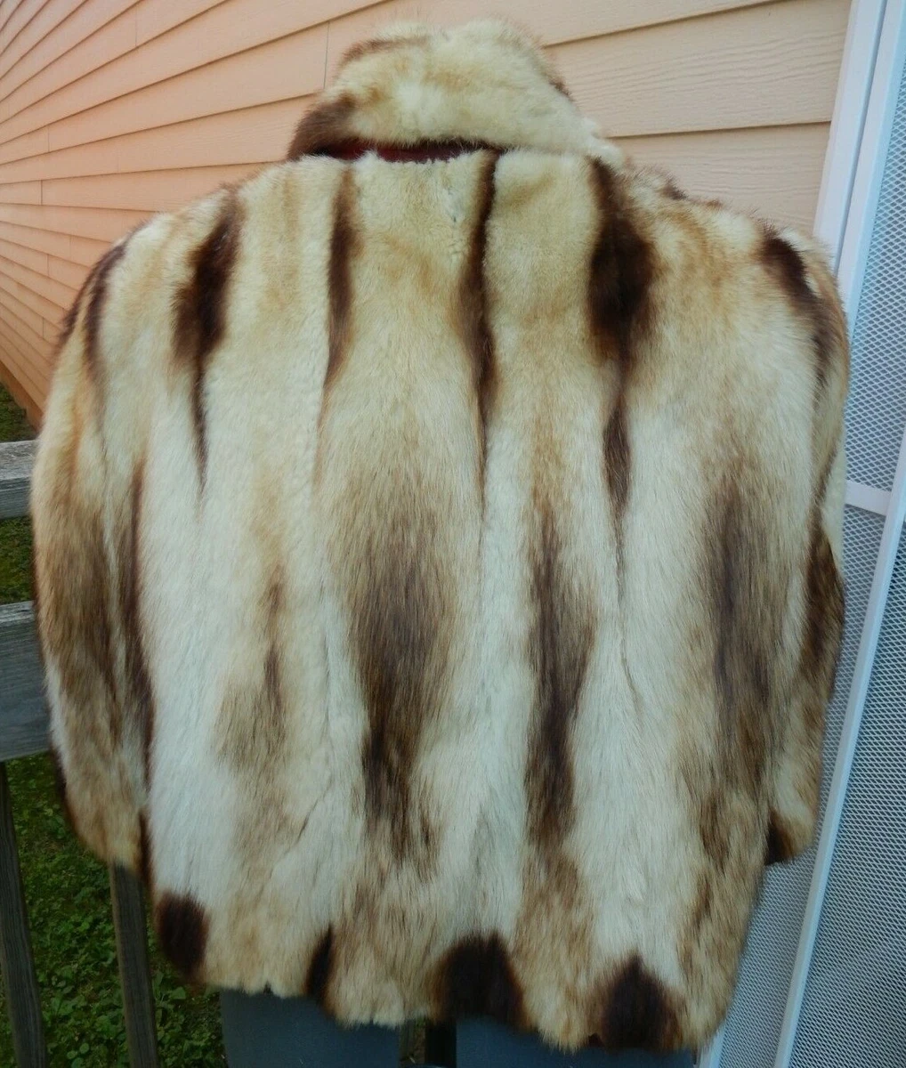Ferret fur cheap