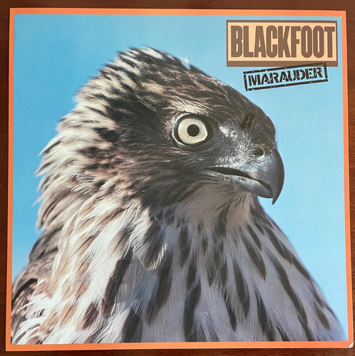 Blackfoot Marauder original Poster / 12 x 12 inch promo flat