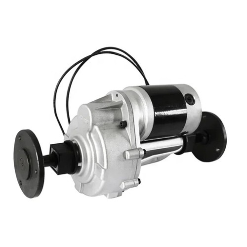 Motore differenziale 180W 250W 500W 24V trazione triciclo asse posteriore - Foto 4 di 9