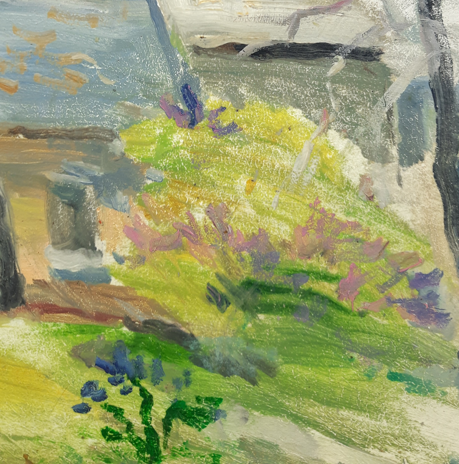 Bild 9 von 13