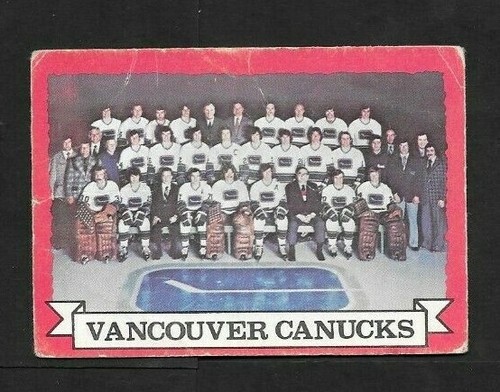 1973-74 OPC O PEE CHEE NHL HOCKEY CARD LIGHT WHITE BEIGE BACK 1-132 SEE LIST - Picture 393 of 492