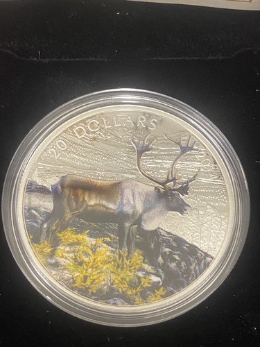 2014 - $20 Fine Silver Coin - The Caribou - Colorized - 1oz 99.99% Silver - Picture 2 of 9