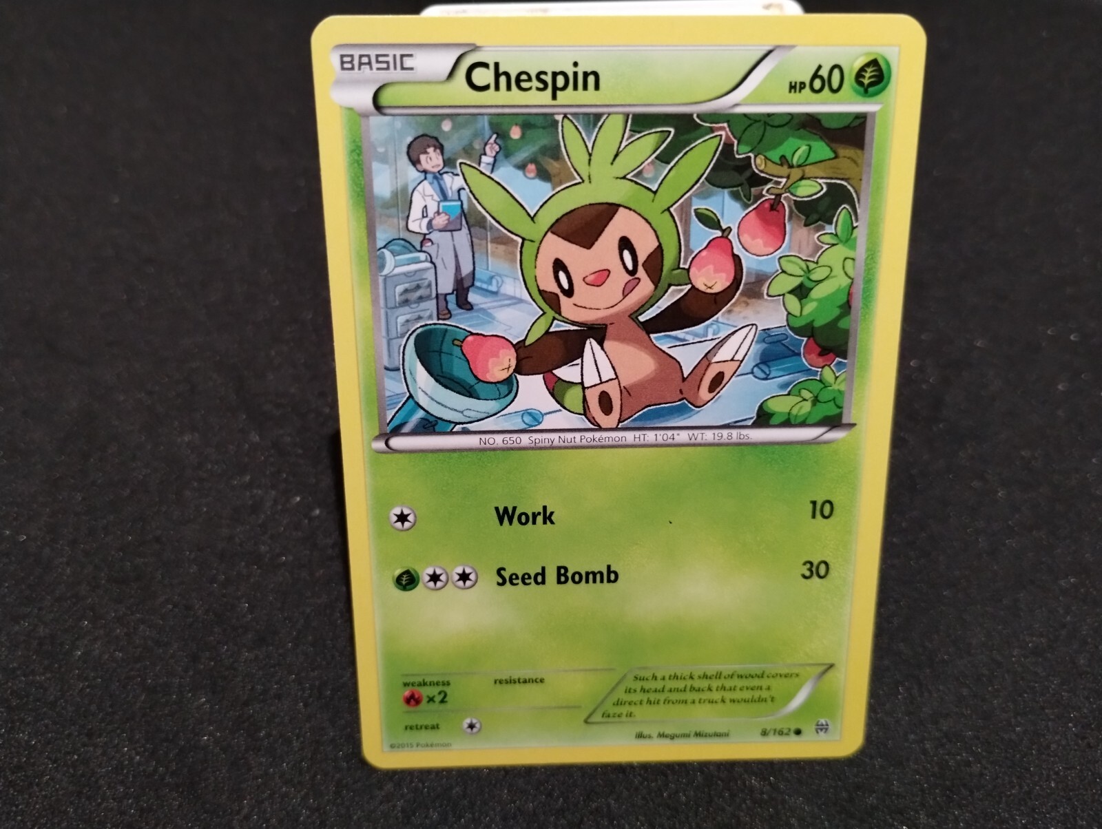 Pokemon - Chespin - 8/162 - Common - XY - BREAKthrough -