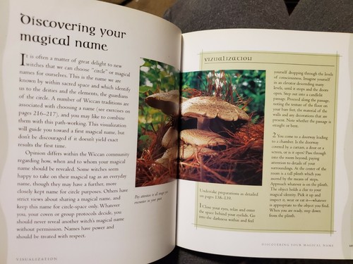 Mind Body Spirit Bibles Ser.: The Wicca Bible : The Definitive Guide to Magic... - Picture 6 of 11